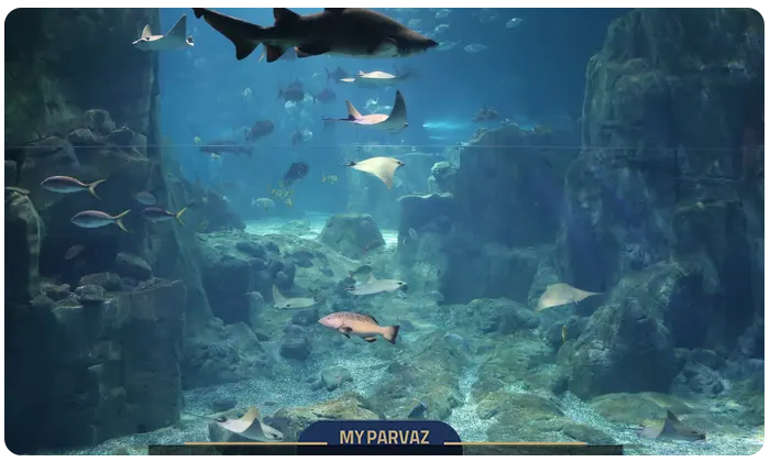 Istanbul Aquarium Florya